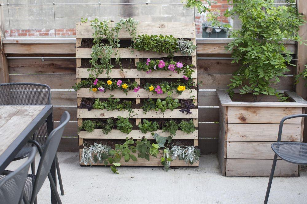 Bikin Sejuk, 6 Tanaman Vertical Garden Ini Artistik Juga Lho!