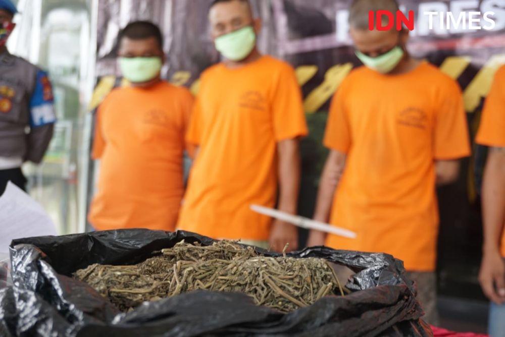 Gagalkan Peredaran Ganja, Polres Sleman Ciduk 4 Orang Pengedar