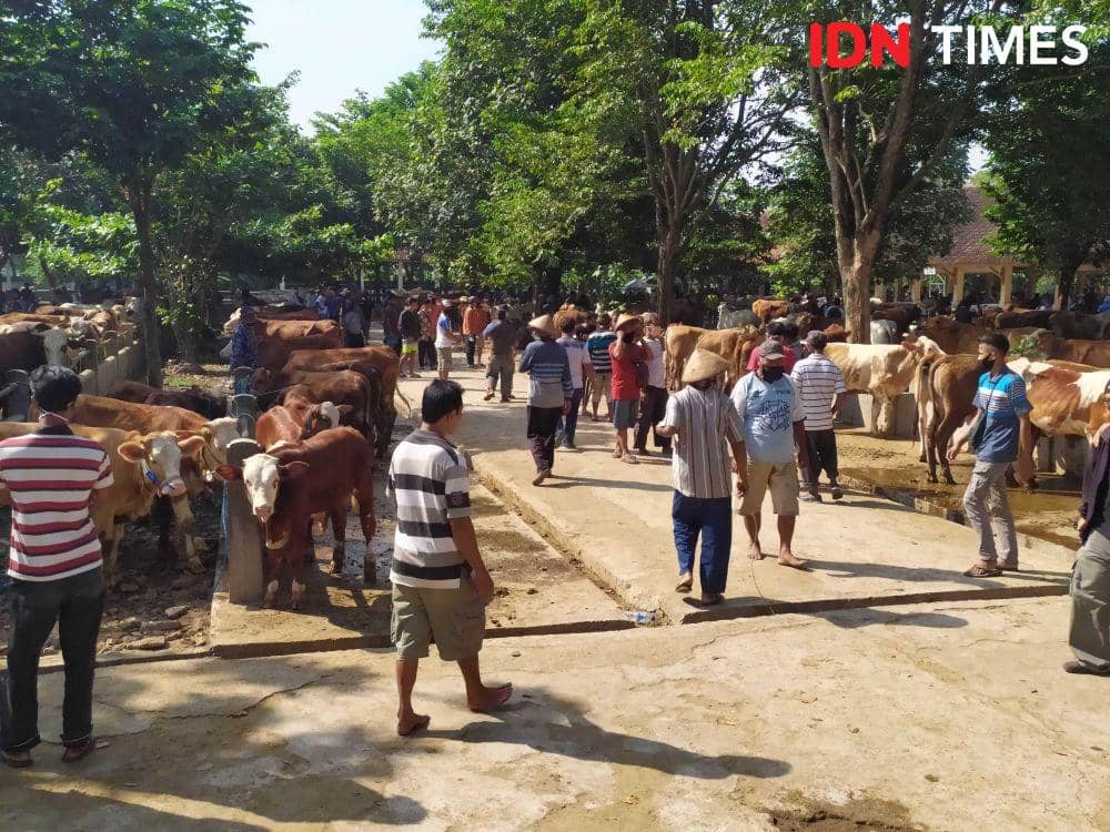 Pasar Hewan Ambarketawang. IDN Times/Siti Umaiyah