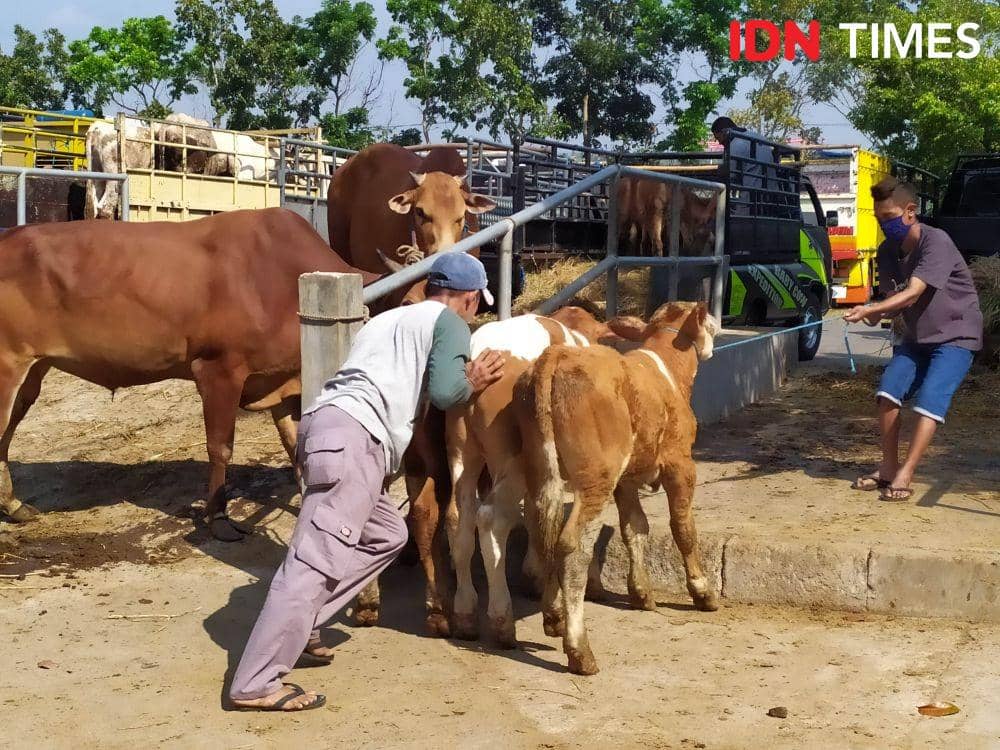 Pasar Hewan Ambarketawang. IDN Times/Siti Umaiyah