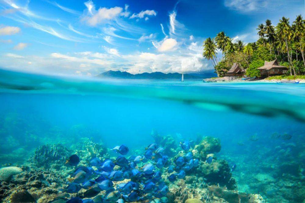 surfertoday.com