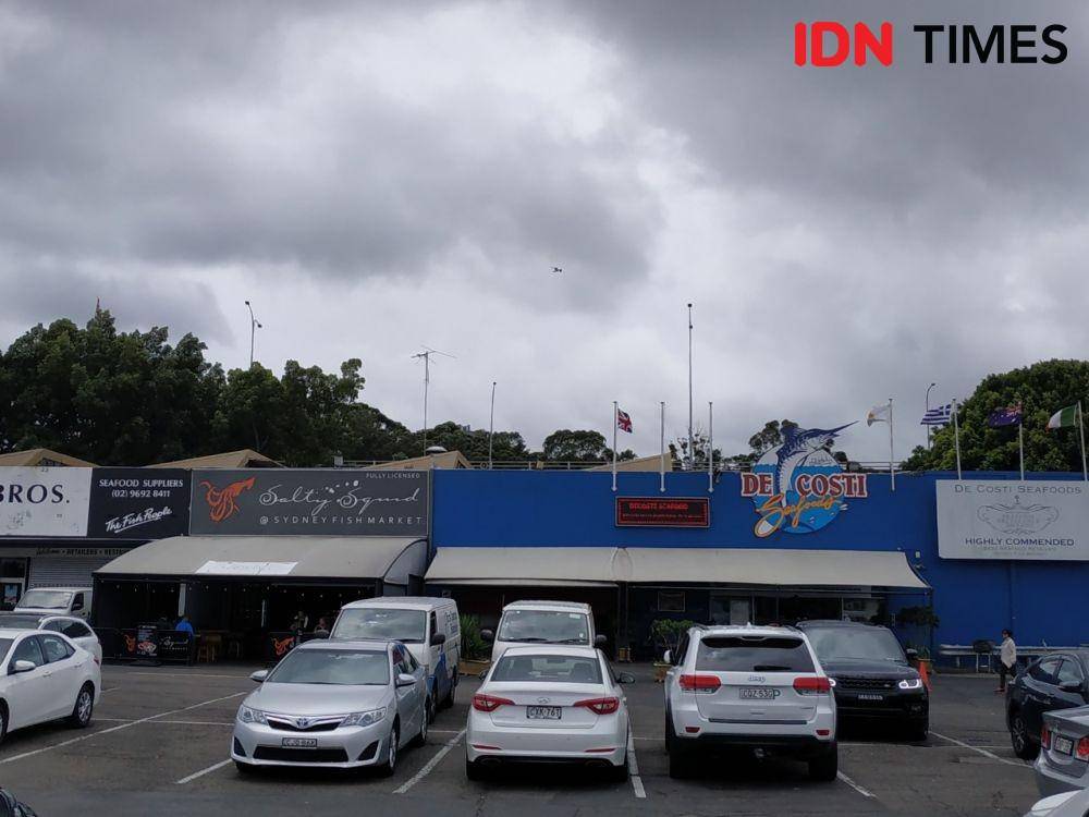 Suasana Sydney, Australia (IDN Times/Shemi)