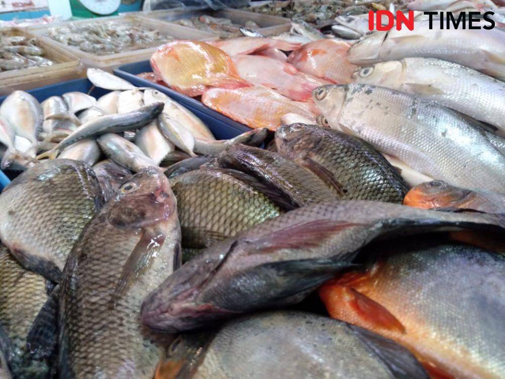 Ilustrasi Ikan yang dijual di Pasar Ikan (IDN Times/Lia Hutasoit)