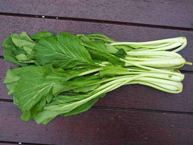 katalog.masyarakatmandiri.co.id