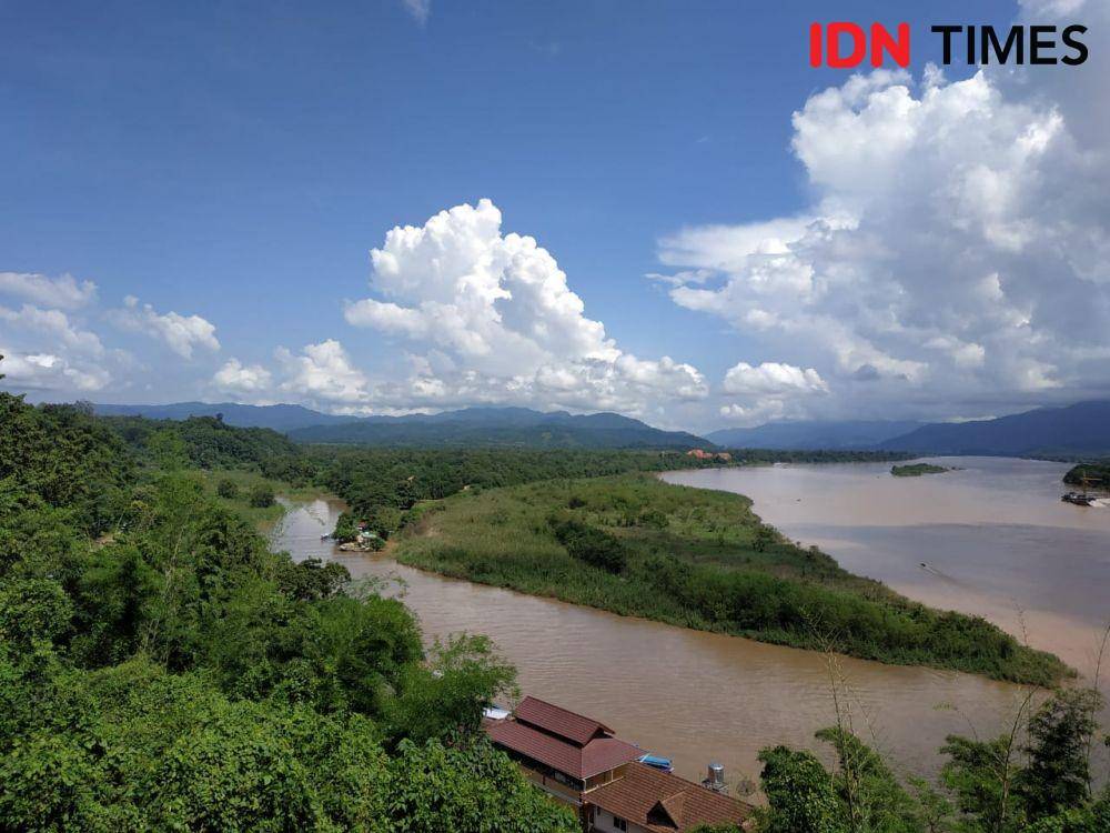 Kebun teh di Chiang Rai, Thailand (IDN Times/Dwi Agustiar)