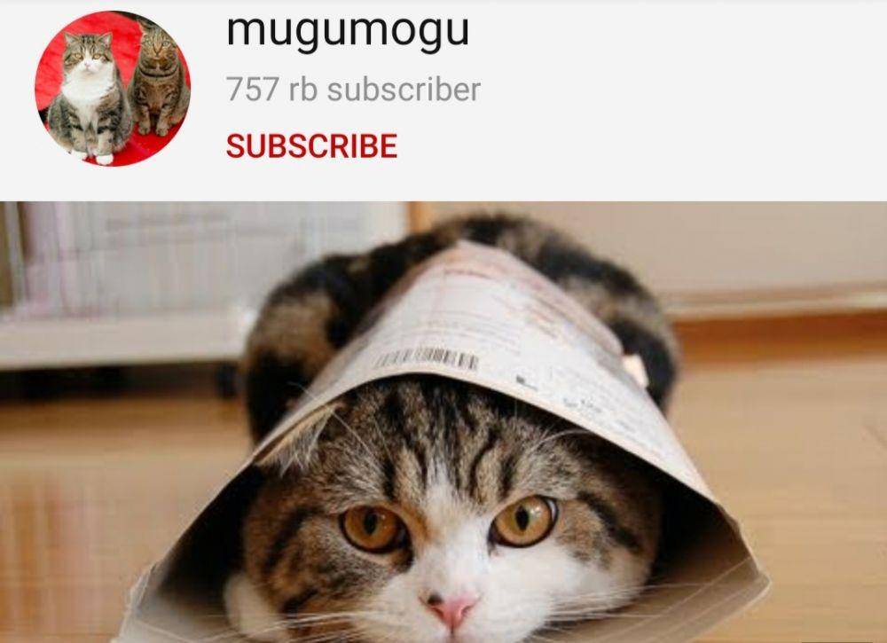 https://www.youtube.com