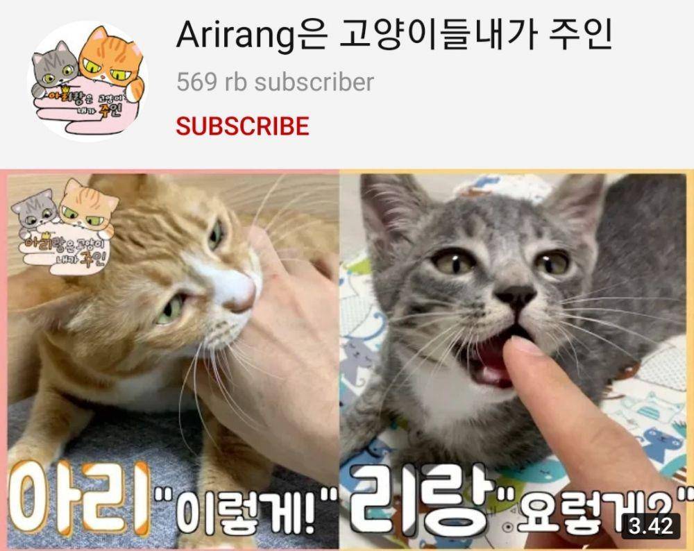 YouTube.com/Arirang