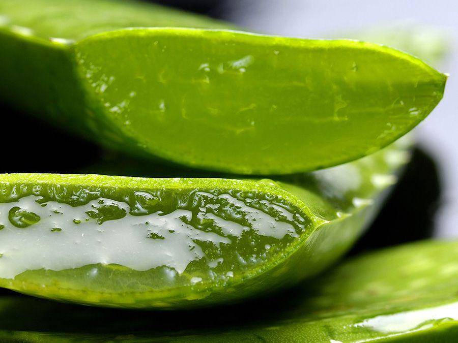 americanschoolofnaturalhealth.com