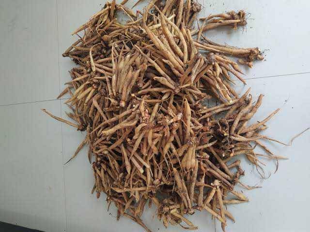 bukalapak.com