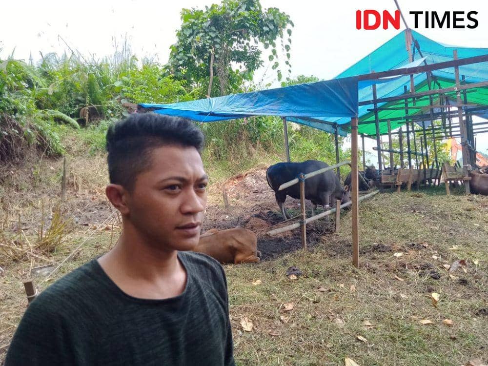 Yogi salah satu pedagang hewan kurban menjelaskan harga di masa pandemi COVID-19 justru meningkat. (IDN Times/Zulkifli Nurdin)