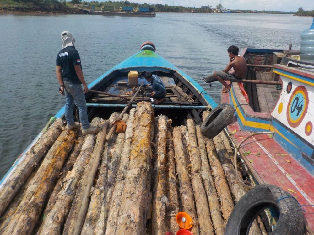 Kasus Pembalakan Liar di Sumsel Tahun 2020 Alami Peningkatan