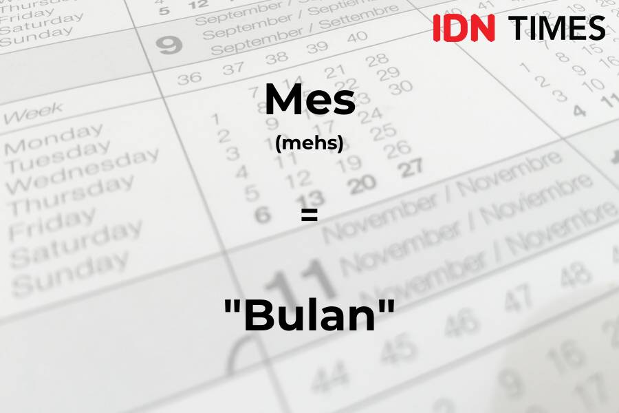 IDN Times/Tyas Hanina