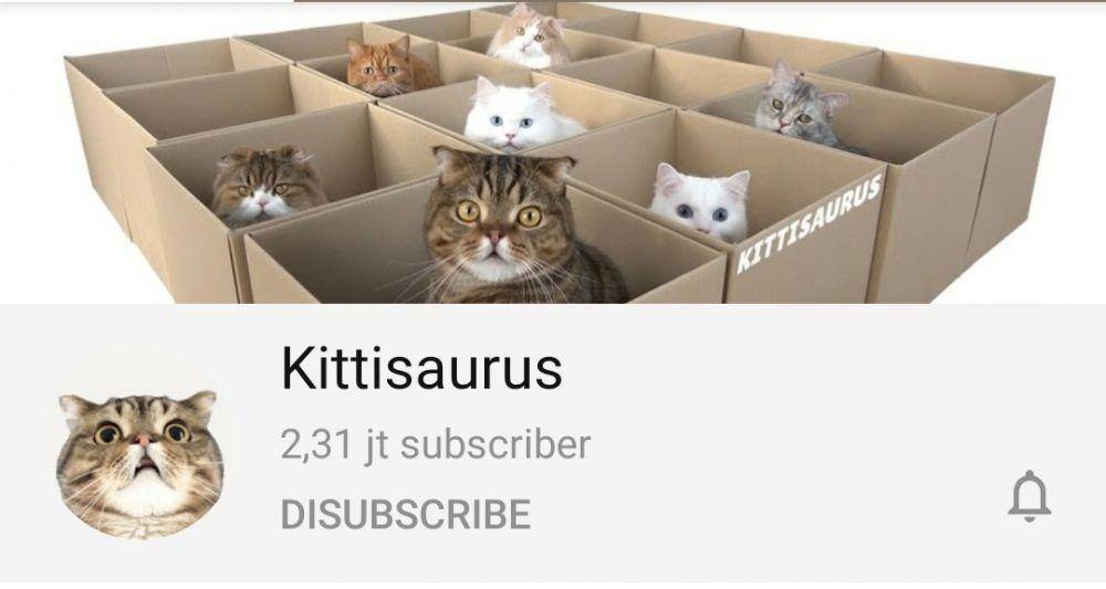 YouTube.com/Kittisaurus
