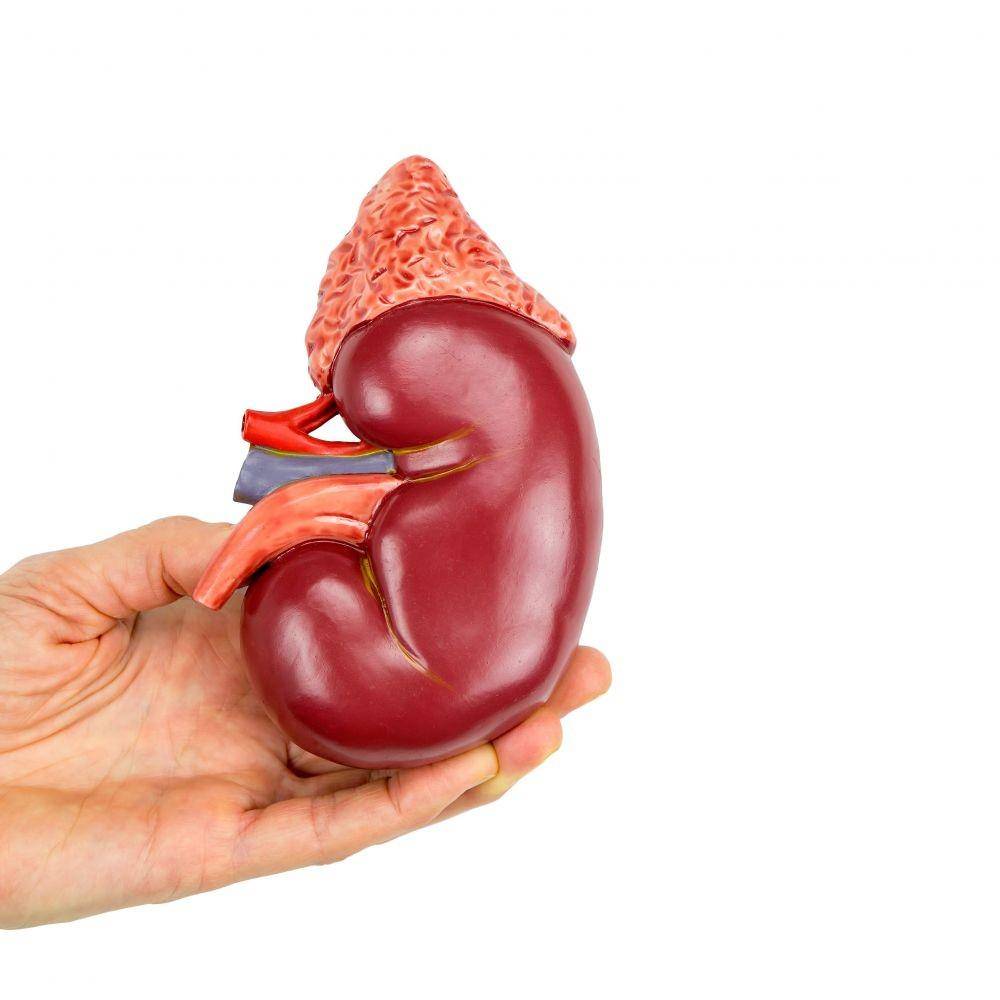 verywellhealth.com