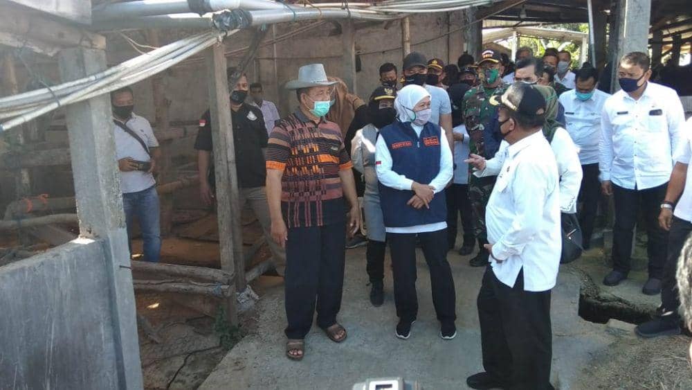 Gubernur Jatim Khofifah Indar Parawansa saat berkunjung ke peternakan sapi di Lamongan. IDN Times/Imron