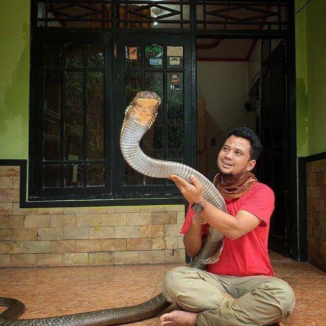 Instagram.com/panjipetualang_real