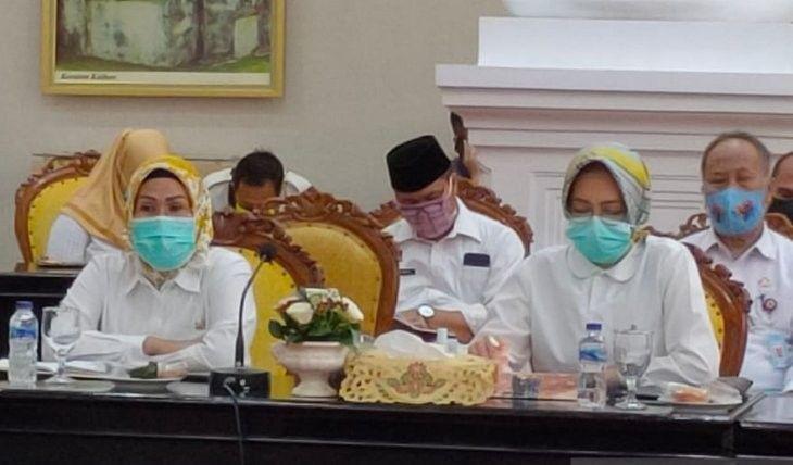 Bupati Serang Ratu Tatu Chasanah, saat mengikuti Rapat Koordinasi Pemerintah Daerah di Provinsi Banten yang menyelenggarakan pilkada, di Pendopo Gubernur Banten KP3B Curug Kota Serang Rabu (22/07/2020). ANTARA/Kominfo