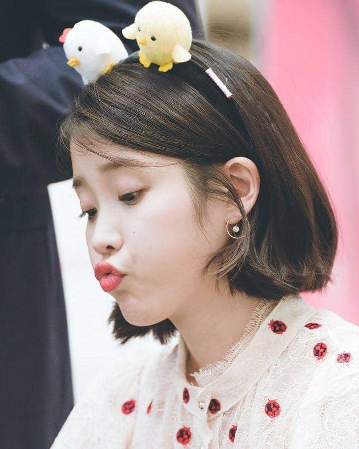 Instagram.com/iu_leejieun516