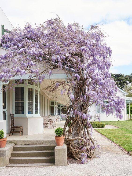 Pinterest/The Design File