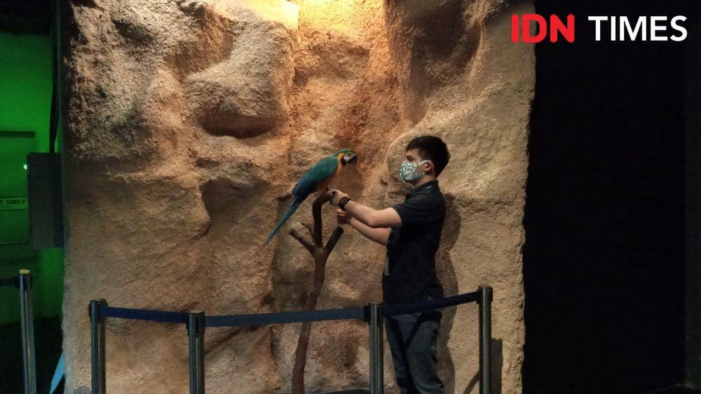 7 Wisata Edukasi di Jabodetabek, Ajak Si Kecil Belajar sambil Bermain!