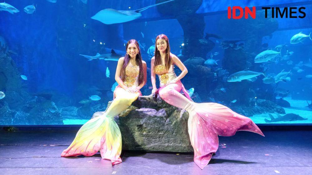 Suasana di Jakarta Aquarium. IDN Times/Dhiya Awlia Azzahra