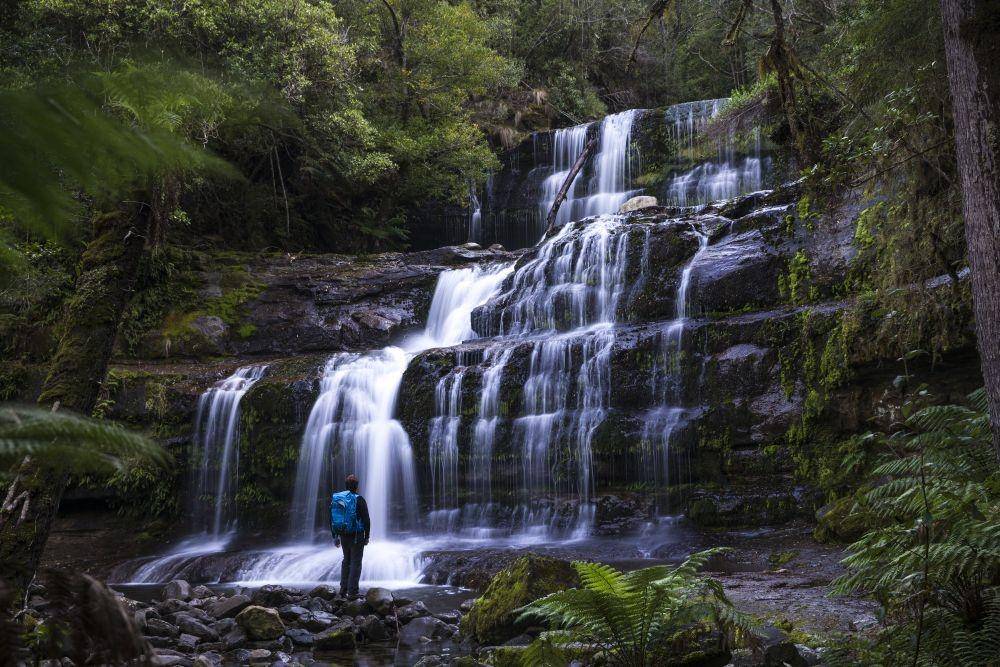 Waterfall, Mount Field National Park, TAS ©️ Tourism Australia