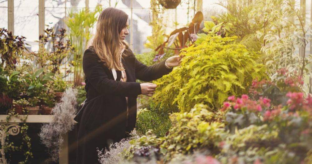 Pexels.com/Tom Balabaud