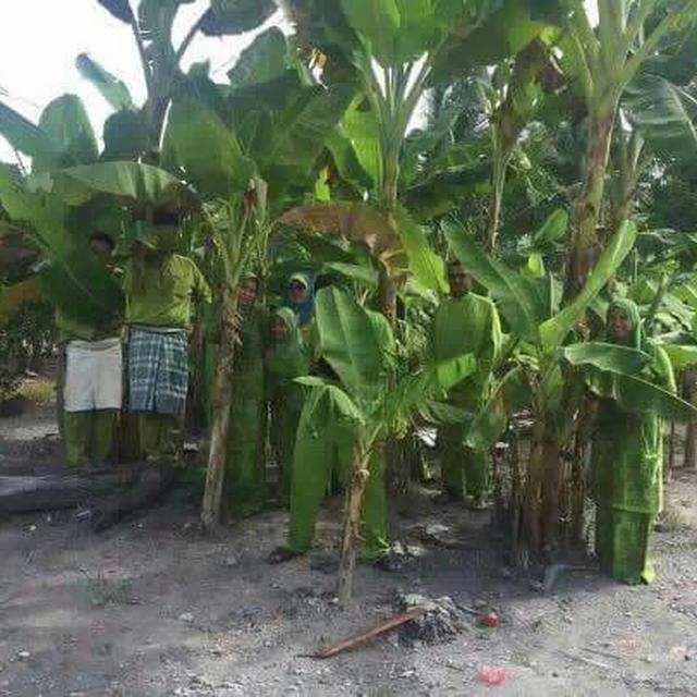 berbagai sumber
