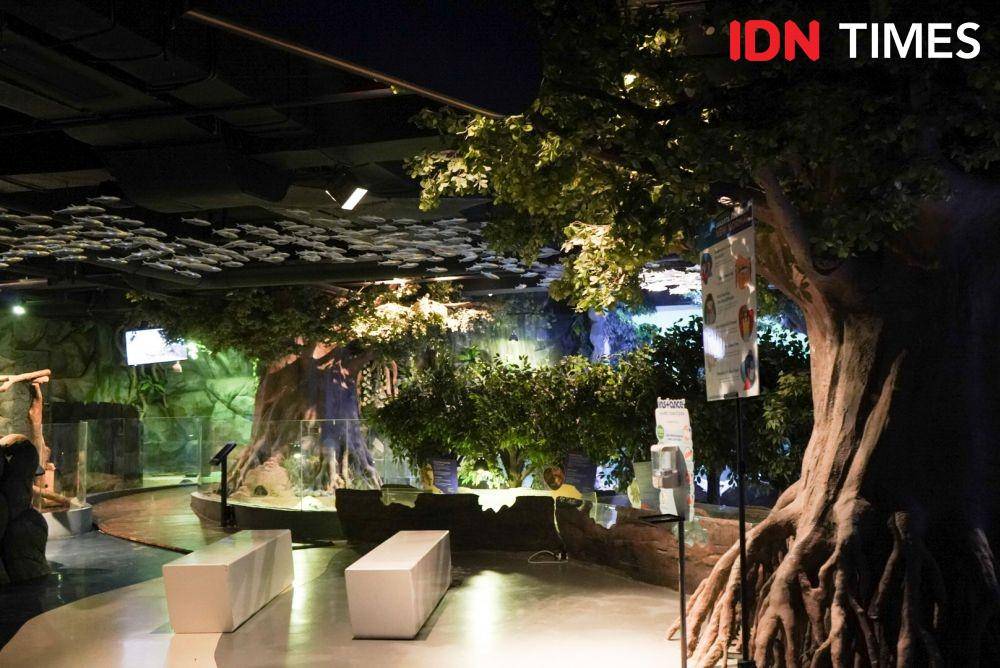Suasana di Jakarta Aquarium. IDN Times/Dhiya Awlia Azzahra