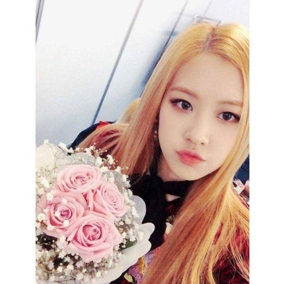Instagram.com/blackpinkofficial