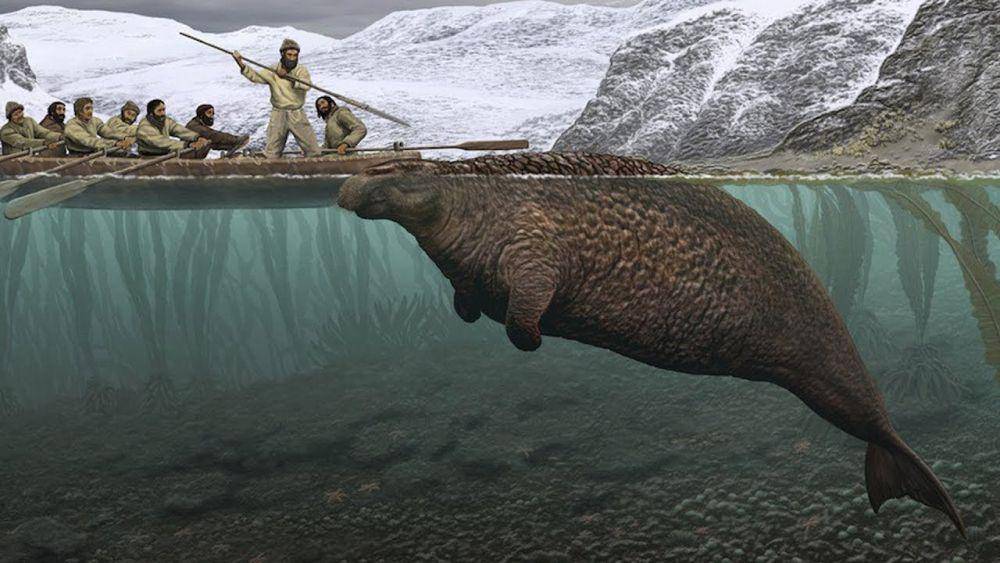 theworldofanimals.proboard.com