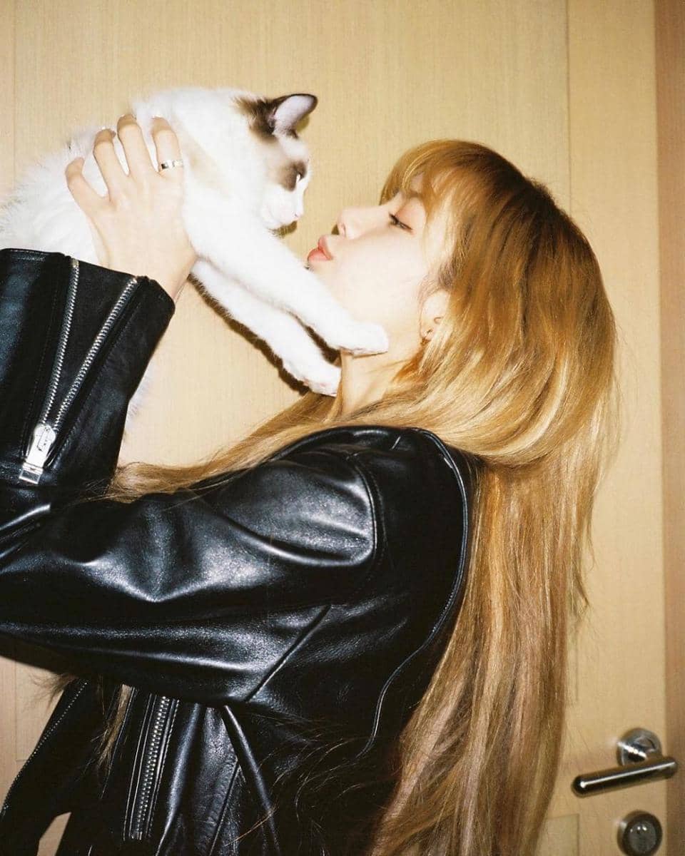 instagram.com/lalalalisa_m