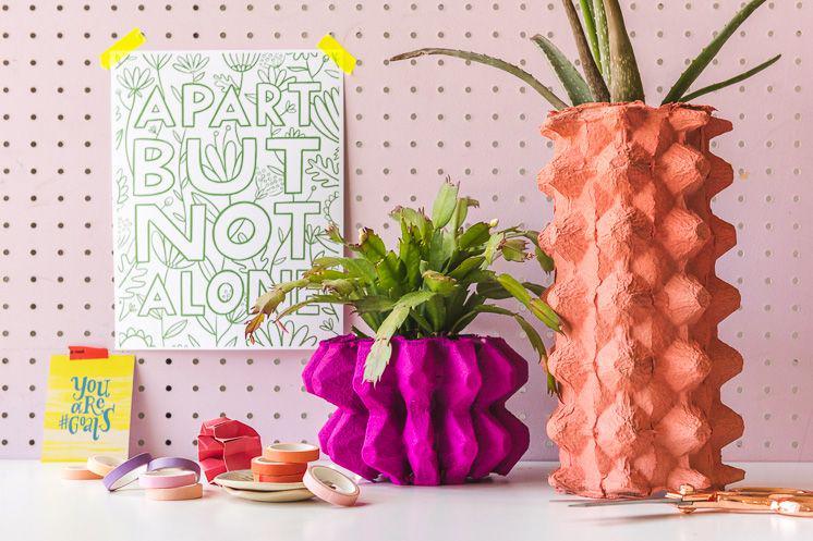 10 DIY dari Karton Telur, Bisa Jadi Tempat Brush hingga Lampu Estetik!