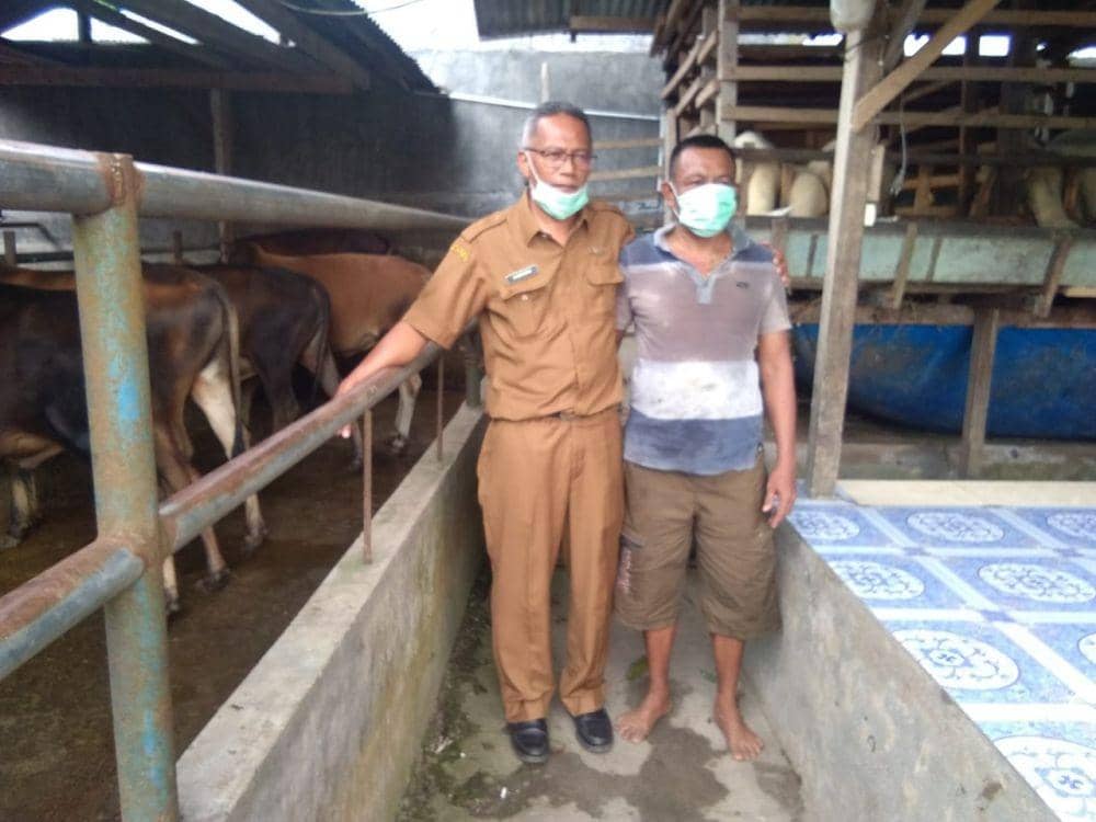 Monitoring yang dilakukan Dinas Pertanian dan Ketanahan Pangan (IDN Times/ istimewa)