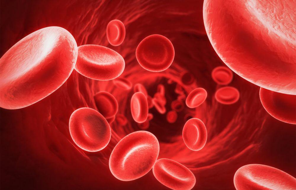 Sehat Walafiat, Penuhi 5 Nutrisi Ini untuk  Meningkatkan Trombosit