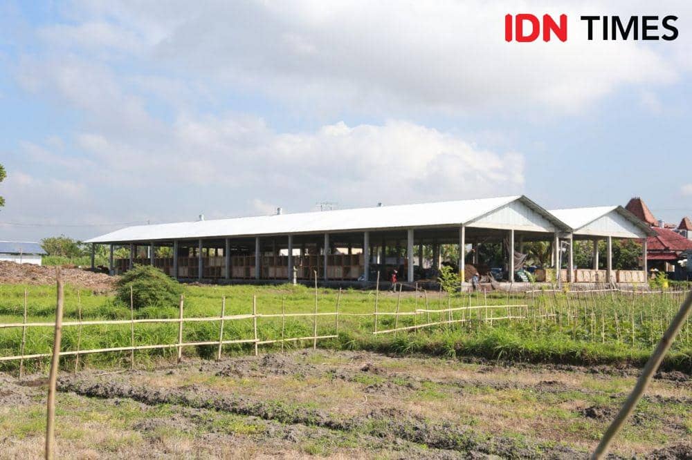 TOSS Centre di Dusun Karangdadi, Desa Kusamba, Klungkung. (IDN Times/Wayan Antara)