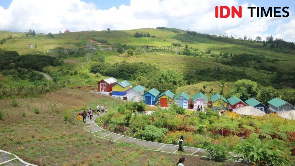 Asyiknya Wisata ke Madu Efi, Simak Informasi Rute, Jarak dan Harganya!