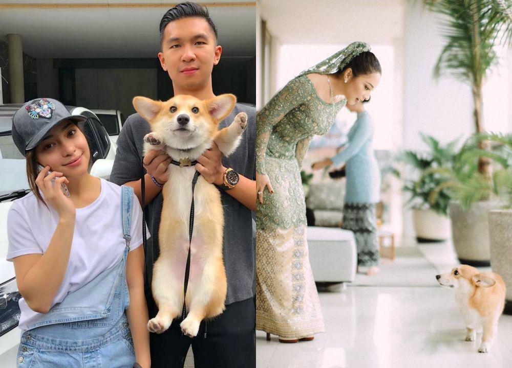 10 Potret Nikita Willy dan Indra Priawan Bareng Anjing Kesayangan