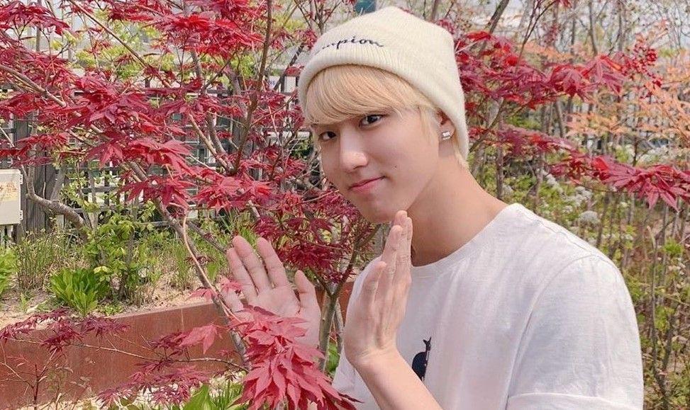 12 Fakta Han Stray Kids dari Pelajar Biasa hingga Menjadi Idol KPop