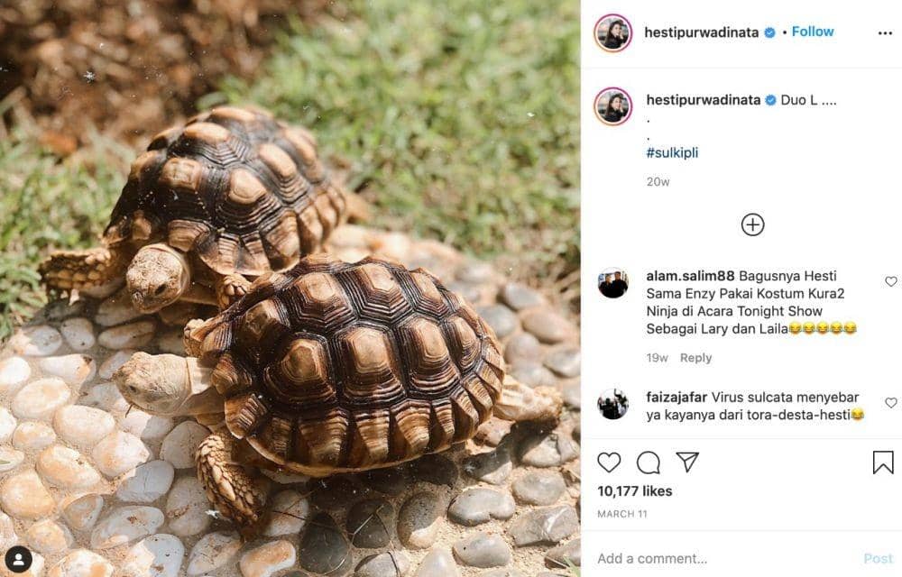 Instagram.com/Hestipurwadinata