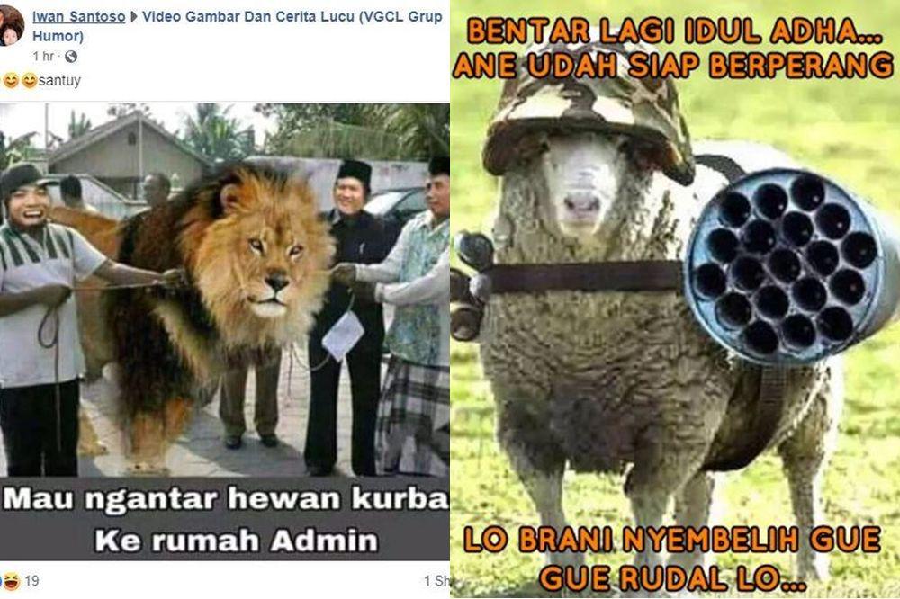 Berbagai sumber