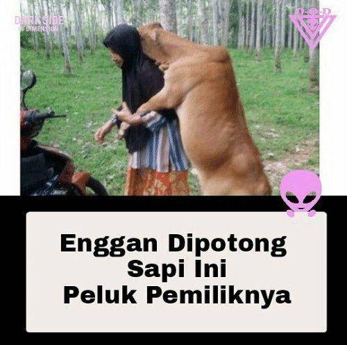 me.me