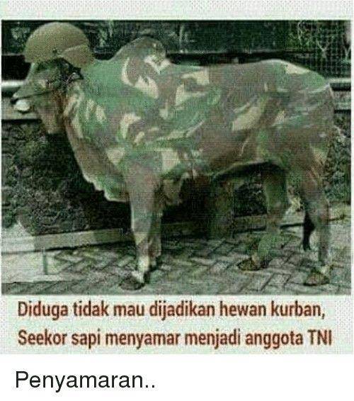 me.me