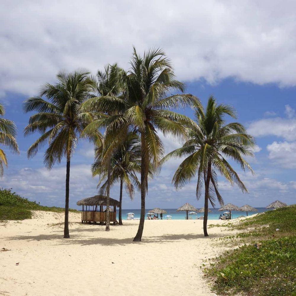instagram.com/latinamericacuba