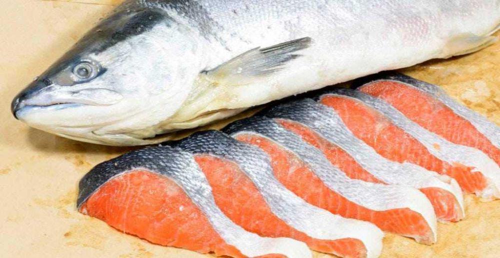 seafood.com