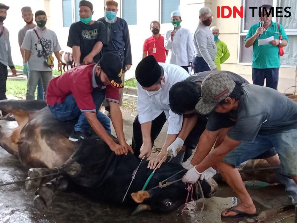 Wagub Kaltim Pimpin Penyembelihan Hewan Kurban di Samarinda