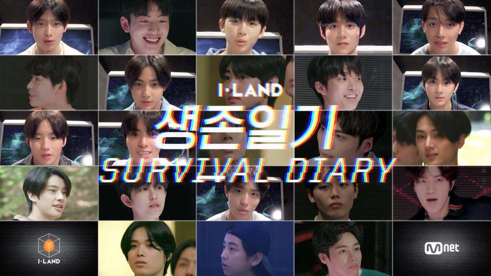 Twitter.com/mnetiland