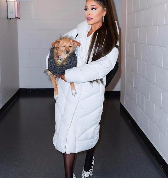 instagram.com/arianagrande