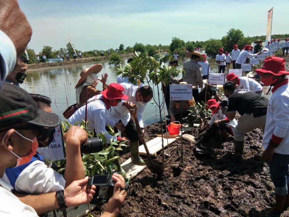 Penanaman pohon mangrove yang dilakukan di Langkat, Sumatera Utara (IDN Times/ istimewa)