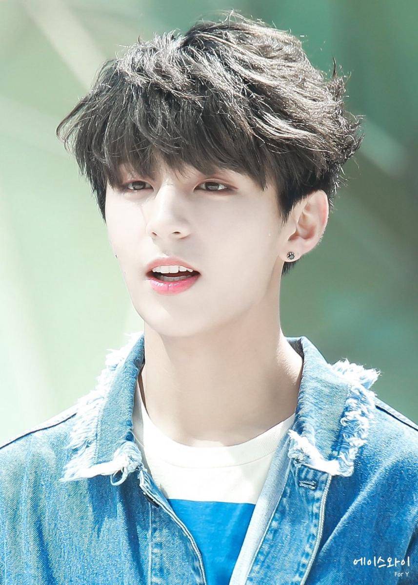twitter.com/koreaboo